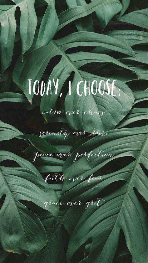 Emerald Green Quotes, Room Green Aesthetic, Greenery Quotes, Green Aesthetic Pictures, Iphone Wallpaper Quotes Bible, Therapy Aesthetic, Iphone Background Quote, Africa Art Design, Green Quotes