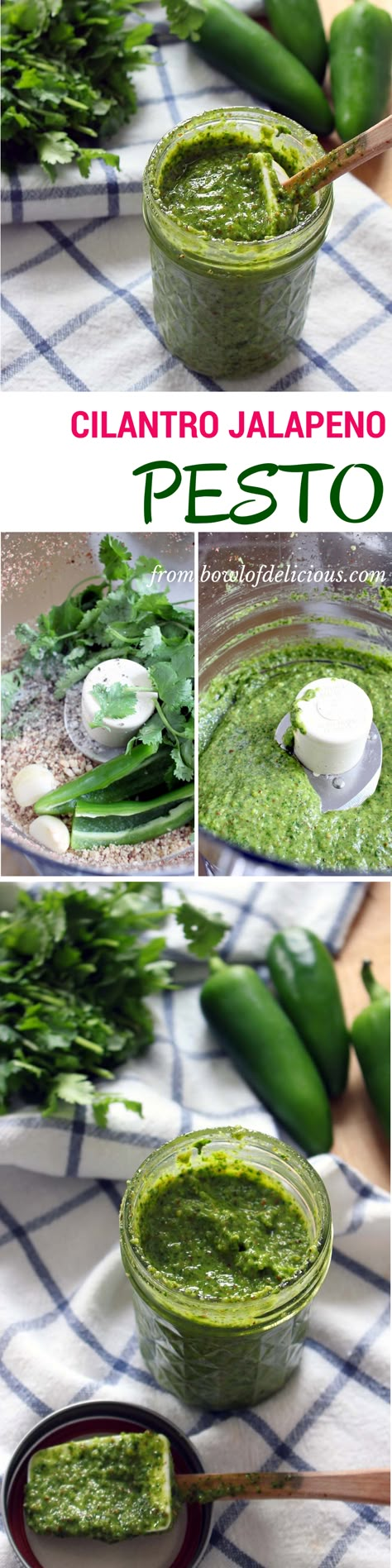 Cilantro Jalapeño Pesto, Jalapeno Pesto Pasta, Spicy Pesto Sauce, Spicy Pesto Recipe, Jalapeño Pesto, Jalapeno Pesto, Spicy Pesto, Cilantro Recipes, Cilantro Pesto