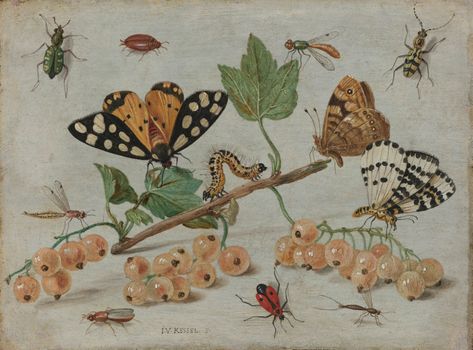 Creepy Art History: Bugs and Critters Hiding in Paintings | DailyArt Art Our World, Space Butterfly, Nature Structure, University Of Indianapolis, Vintage Public Domain, Famous Art Paintings, Art Prints Decor, Vintage Wall Art Prints, Cabinet Of Curiosity