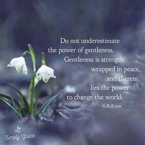 Gentleness Quotes, Positive Aging, Graceful Aging, Morning Greetings Quotes, A Quote, Beautiful Quotes, Healthy Relationships, Spiritual Quotes, Wisdom Quotes