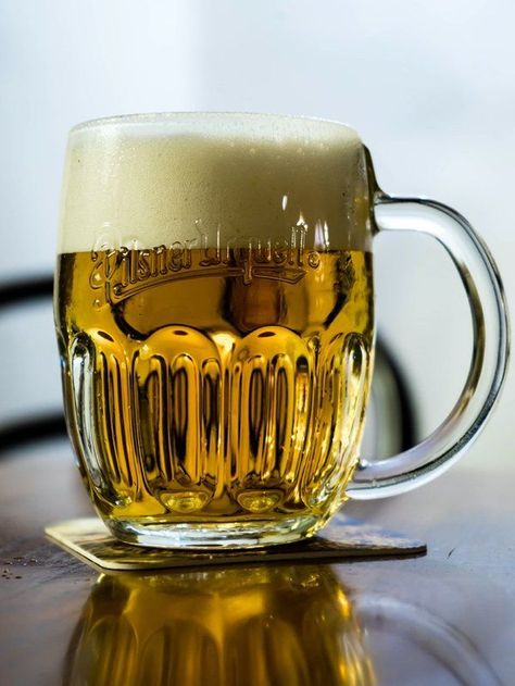 My favorite beer ever! Ale Recipe, Beer Recipe, Types Of Beer, Pilsner Beer, Liqueurs Recipes, Beer Recipes, Cold Beer, Best Beer, Beer Lovers