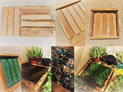 Cat Grass Box Diy, Dog Potty Area, Dog Corner, Mini Altar, Cat Grass, Dog Potty, Dog Enrichment, Box Wood, Garden Boxes