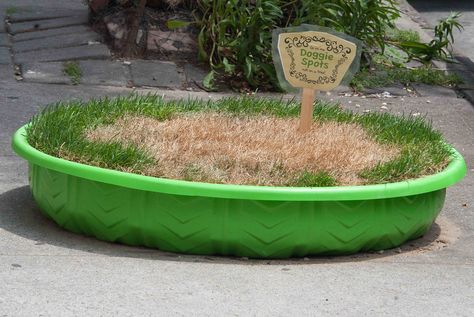 Dog Grass Patch, Pet Friendly Yard, Outdoor Dog Area, Porch Potty, Dog Potty Area, Porta Potty, Psychiatric Service Dog, Dog Urine, Dog Yard