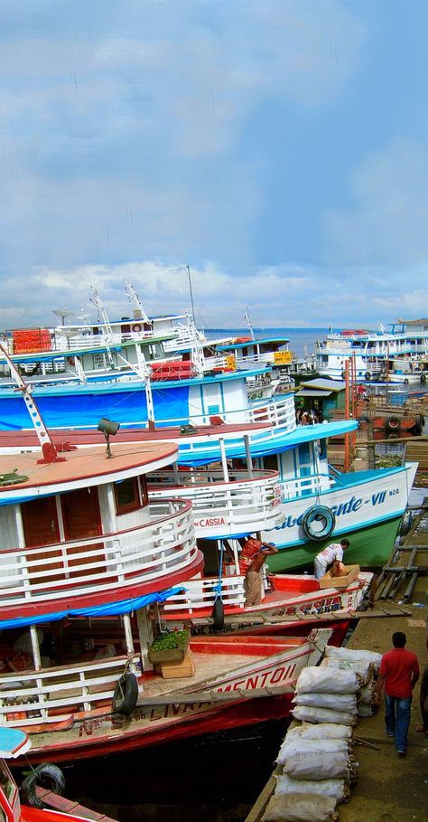 Amazonas Aesthetic, Manaus Brazil, Mayan Riviera, Brazil Travel, Beach Tennis, Amazon Rainforest, Belem, Latin American, Latin America