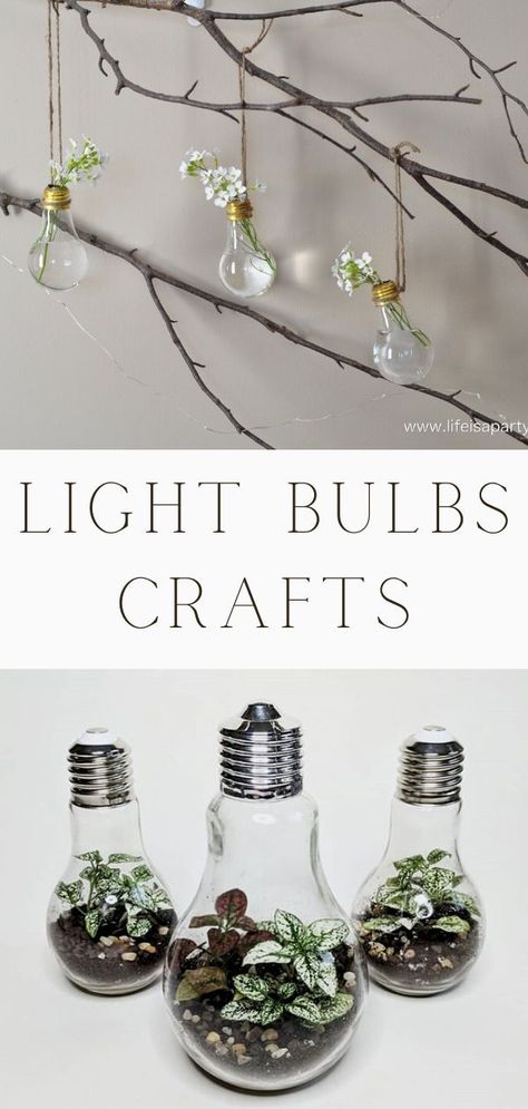 A fun craft idea is using old light bulbs to make decorations. These light bulbs crafts are so creative and beautiful. Try one of these light bulbs craft ideas for your home decor. You will fine hanging bulbs with flowers, terrarium light bulbs, twine wrapped bulbs, and many light bulb crafts. Each DIY is unique, Christmas, Shape, Repurposed, Ideas, Decorations, Lightbulbs, Planters, Hanging, Vase, Pears, Twine, Wreath Crafts With Light Bulbs, Christmas Light Bulb Crafts, Lightbulb Planter, Light Bulbs Crafts, Terrarium Light, Bulb Craft, Hanging Bulbs, Light Bulb Plant, Light Bulb Terrarium