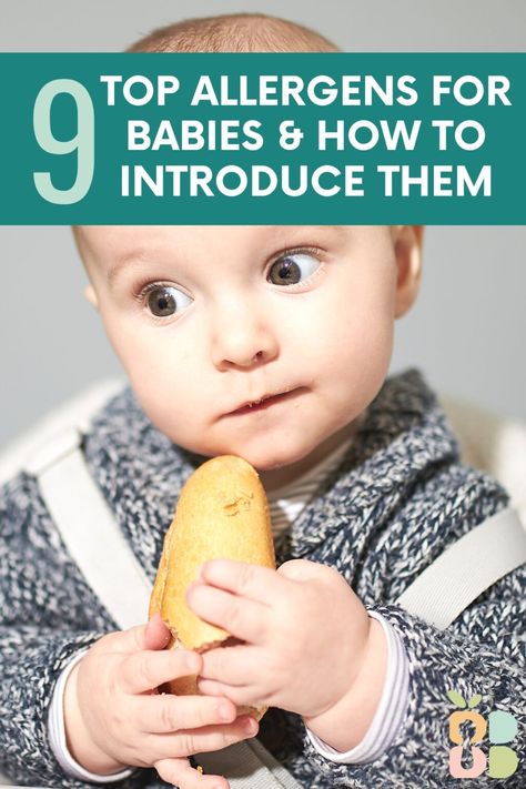 Blw Allergens, How To Introduce Allergens To Baby, Baby Allergen Introduction, Introducing Allergens To Baby, Introducing Solids To Baby, Baby Food Allergies, Baby Solids, Homemade Crab Cakes, Starting Solids Baby