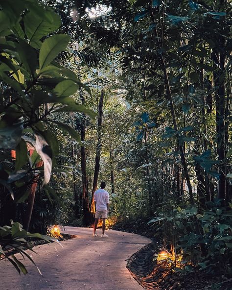 Jungle vibes on Song Saa Private Island 🍃 Tucked away in the little lush jungle full of hornbills and flying foxes you find this gorgeous jungle villa 🏝️ 📍Song Saa Private Island, Cambodia @songsaaprivateisland #songsaa #travel #cambodia #kohrong #privateisland #resort #luxuryhotels #uniquehotels #beautifuldestinations Jungle Villa, Song Saa Private Island, Travel Cambodia, Lush Jungle, Jungle Vibes, Unique Hotels, Private Island, Beautiful Destinations, Cambodia