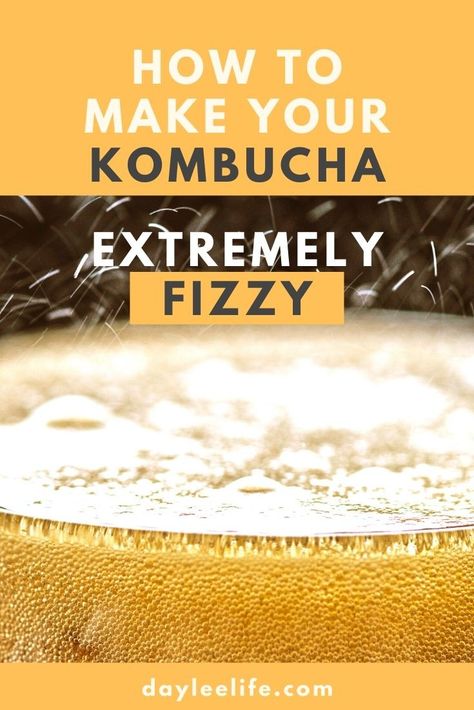 Kombucha Flavors Recipes, Diy Kombucha, Kombucha Flavors, Kombucha Scoby, How To Brew Kombucha, Kombucha Recipe, Homemade Kombucha, Probiotic Drinks, Homebrew Recipes