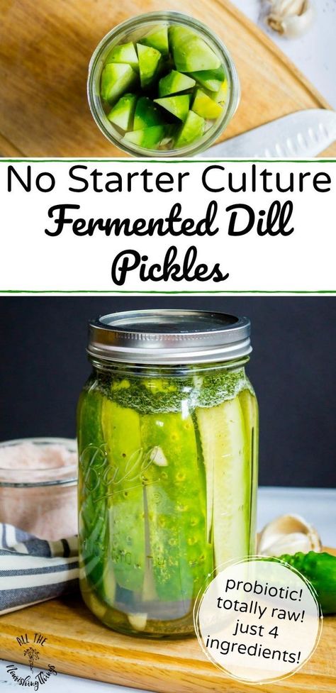 Fermented Dill Pickles, Fermented Vegetables Recipes, Paleo For Beginners, Fermented Veggies, Fermented Pickles, Healthy Probiotics, Whole30 Keto, Fermentation Recipes, Fermented Vegetables