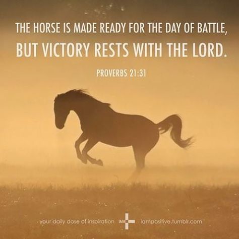 "“The horse is prepared for the day of battle, but the victory belongs to the LORD.” ‭‭Proverbs‬ ‭21:31‬ ‭NLT‬‬ #dbvabcs" Photo taken by @daily_bibleverses on Instagram, pinned via the InstaPin iOS App! http://www.instapinapp.com (01/31/2016) Proverbs 21 31, Daily Bible Verses, Inspirational Horse Quotes, Horse Riding Quotes, Equestrian Quotes, Cowboy Quotes, Cowgirl Quotes, Riding Quotes, Country Girl Quotes