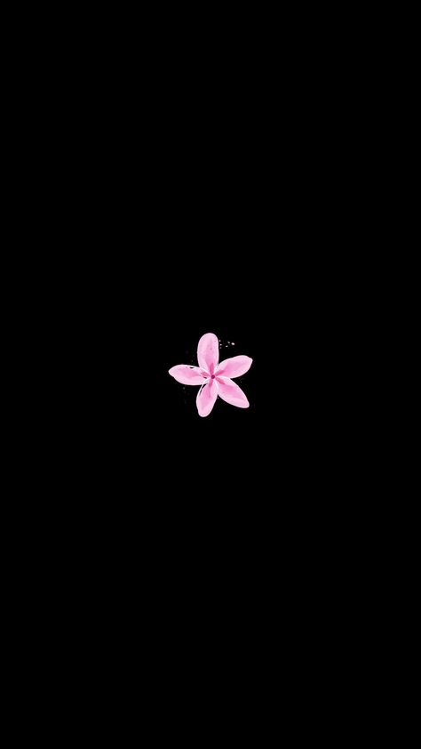 Pb Bilder Instagram, Pink Flower Black Background, Light Pink And Black Wallpaper, Simple Flower Background, Pfp Simple, Pink And Black Wallpaper, Iphone Wallpaper Classy, Cute Black Wallpaper, Simple Phone Wallpapers