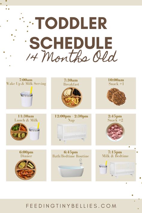 Toddler Feeding Schedules (1-Year Old And 3-Year Old) - Feeding Tiny Bellies Toddler Feeding Schedule, Toddler Weekly Schedule, Toddler Day Schedule, Toddler Eating Schedule, One Year Old Foods, Perfect Schedule, Toddler Sleep Schedule, Toddler Sleep Help, Toddler Menu