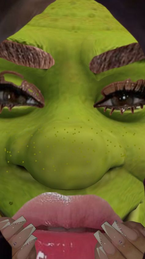 Took a long time Shrek, Take That