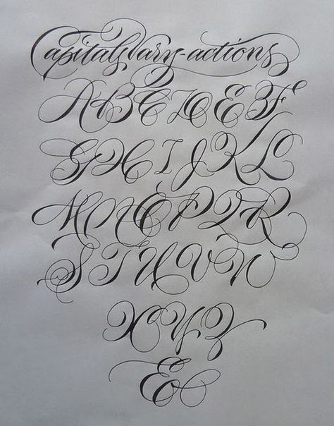 Tattoo Fonts Alphabet, Fancy Writing, Copperplate Calligraphy, Cursive Alphabet, Tattoo Lettering Fonts, Hand Lettering Alphabet, Lettering Alphabet Fonts, In Cursive, Creative Lettering