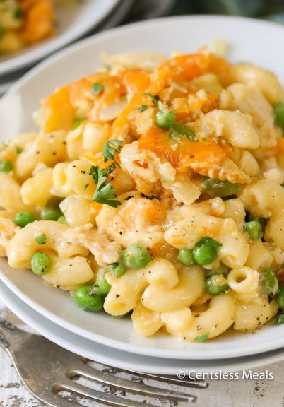 Tuna Macaroni Casserole, Easy Tuna Casserole, Tuna Fish Recipes, Tuna Casserole Easy, Macaroni Casserole, Tuna Casserole Recipes, Easy Macaroni, Tuna Noodle Casserole, Tuna Noodle