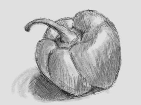 Shading of a pepper Bell Pepper Drawing, Pepper Drawing, Colored Pencil Drawing Techniques, Fruit Sketch, Natural Form Art, Buddha Art Drawing, Pencil Drawings For Beginners, Realistic Sketch, Fruits Drawing