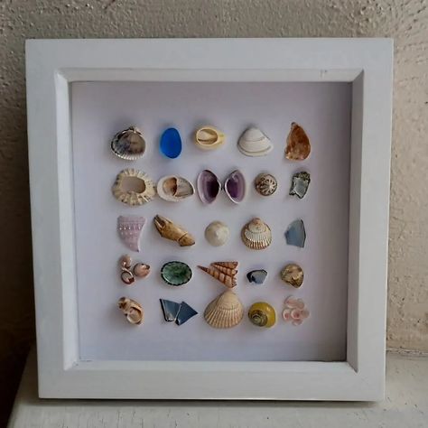 I never get tired of creating these tiny treasure pieces. I love finding different coloured shells, sea glass and even the odd crab claw! I especially look out for broken shells - they often have the most amazing shapes. #shellart #shellartist #coastalhomedecor #coastalartist #etsysellersofig #prettyart #seasideaesthetics #seasideart #beachartwork #beachfinds Crab Claw, Crab Claws, Seaside Art, Beach Artwork, Shell Frame, Tiny Treasures, Shell Art, Bedroom Inspo, Sea Shell