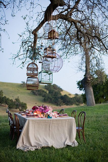 Romantic summer dinner 9 September, Outdoor Dinner, Birdcages, Table Set Up, Bird Cages, Al Fresco Dining, Outdoor Entertaining, Birdhouse, Bird Cage