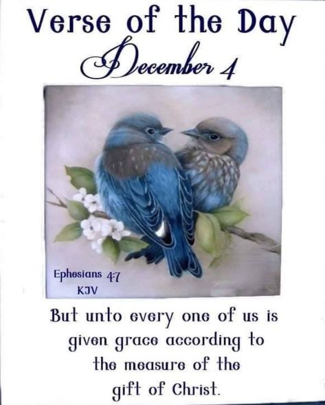 #19391Aw #December4 2019 #Ephesians4v7 KJV #DailyBlessing www.facebook.com/Judiann.F December 4 Blessings, December Scriptures, December Images, Words Of Faith, Good Morning God Quotes, Christmas Blessings, Daily Word, Daily Verses, December 30