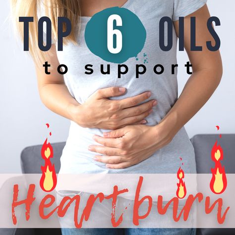 Top 6 Essential Oils to support Heartburn https://www.thatslife-danette.com/blog/top-essential-oils-for-heartburn Silent Reflux, Top Essential Oils, Chemical Free Living, Essential Oil Remedy, Oil Remedies, Blended Drinks, Naturopathic Doctor, Acid Reflux, Doterra Essential Oils