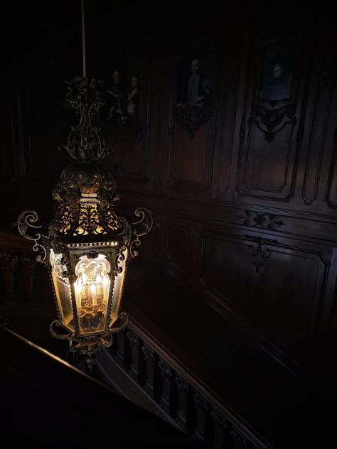 Dark European Aesthetic, Dark Academia Castle Aesthetic, Dark Academia Lamp, Dark Castle Aesthetic Interior, Royal Aesthetic Dark, Dark Academia Furniture, Old Mansion Aesthetic, Academia Castle, Dark Library Aesthetic