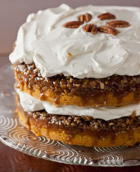 This easy pumpkin cake will be a hit at your Thanksgiving dessert table. It’s a simple pumpkin cake with yellow cake mix and canned pumpkin made even better with pecan praline topping. This beautiful and delicious Betty Crocker pumpkin praline cake is perfect for the holidays and it’s made even better than the original with homemade whipped cream cheese frosting. | pinchmysalt.com Cake With Whipped Cream Frosting, Pumpkin Praline, Pumpkin Cake Easy, Cake With Cream Cheese Icing, Cake With Whipped Cream, Praline Cake, Whipped Cream Cheese Frosting, Thanksgiving Desserts Table, Mini Torte