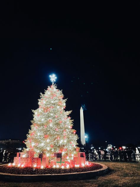 Washington Dc Aesthetic Winter, Dc In December, Christmas In Dc, Washington Dc Aesthetic, Washington Dc Christmas, Dc Aesthetic, Travel Cities, National Christmas Tree, Winter City