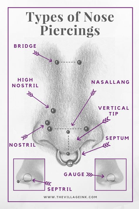 Nose Piercing Placement, Tattoo Lower Back, Septum Nostril, Bridge Piercing, Piercing Chart, Face Piercings, Nose Piercings, Nose Drawing, Facial Piercings