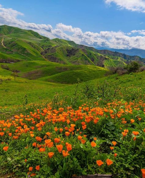 Chino Hills Todays California Photo! - by Christine Ann Ho Chino Hills California, Chino California, Chino Hills, California Photos, Places On Earth, Cool Places, On Earth, California, Natural Landmarks