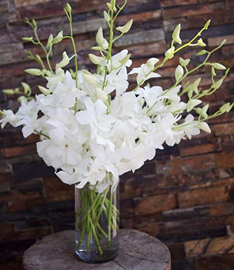 White Orchid Bouquet, White Dendrobium Orchids, Bouquet Delivery, Orchid Bouquet, Vase Flowers, Dendrobium Orchids, Floral Centerpiece, Orchid Plants, White Orchids