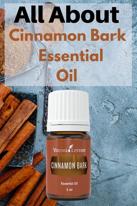 Cinnamon Bark Essential Oil has a spicy and festive scent. Learn more about Cinnamon Bark and how I use it. #CinnamonBarkEssentialOil #essentialoiluses #essentialoilbenefits | EOGuys.com Cinnamon Bark Benefits, Cinnamon Bark Essential Oil Benefits, Uses For Cinnamon Bark Essential Oil, Cinnamon Essential Oil Benefits, Cinnamon Uses, Cassia Essential Oil, Homemade Lotion Bars, Cinnamon Bark Essential Oil, Essential Oils For Massage