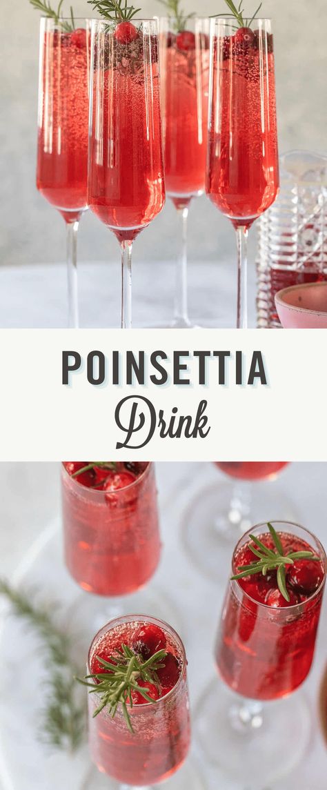 Poinsettia Drink, Cranberry Champagne Cocktail, Poinsettia Cocktail, Cranberry Cocktail Recipe, Cranberry Fizz, Christmas Cocktails Easy, Pomegranate Cocktails, Holiday Drinks Alcohol, Holiday Punch Recipe