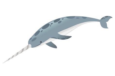 Gray narwhal(monodon monoceros) toothed ... | Premium Vector #Freepik #vector #narwhal #whale-logo #cartoon-whale #whale Narwhal Cartoon, Sea Character Design, Sea Character, Cartoon Whale, Logo Cartoon, Whale Logo, Flat Vector Illustration, Flat Vector, Narwhal