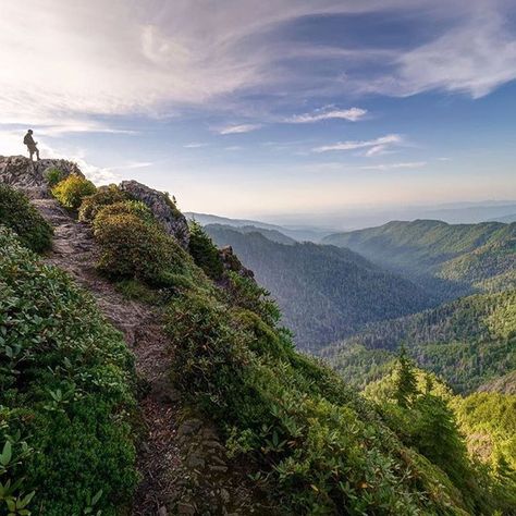 This popular rock outcropping on the Appalachian Trail rewards hikers with expansive south-facing views of the Smokies. Only 70 days until spring! @bobcarrphoto repost @greatsmokynps #CharliesBunion #appalachiantrail #greatsmokies #gsmnp #greats Gatlinburg Fall, Smokie Mountains, Climb The Mountain, Smoky Mountains Vacation, Mountain Vacations, Great Smoky Mountains National Park, The Mountains Are Calling, Smoky Mountain National Park, Appalachian Trail