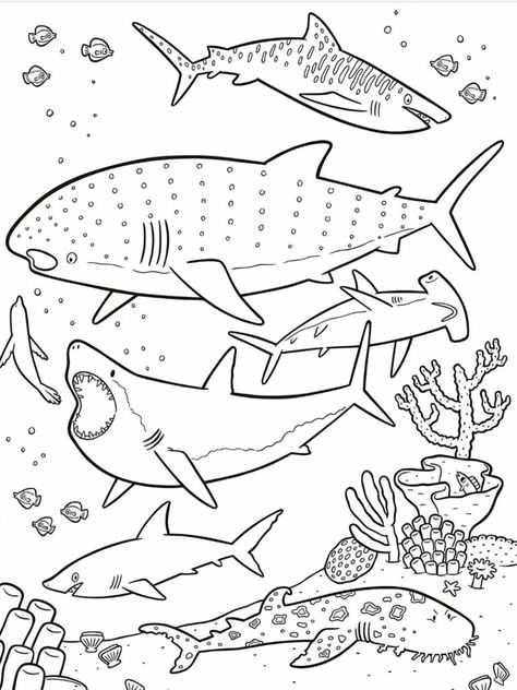 Top 20+ sea animals coloring pages for kids - ColoringPagesForKids.net Sea Creature Colouring Pages, Sea Animal Coloring Pages, Sea Animals Coloring Pages, Sea Animals Coloring, Candy Cane Coloring Page, Elsa Coloring, Animals Coloring Pages For Kids, Ocean Coloring Pages, Elsa Coloring Pages