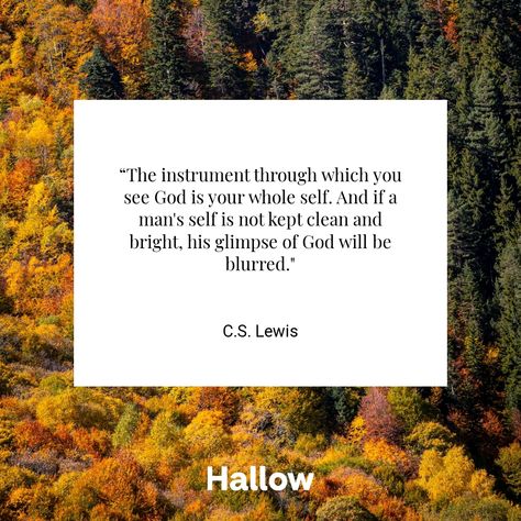 C.S. Lewis Cw Lewis Quotes, C S Lewis Quote, Lewis Quotes, Cs Lewis Quotes, Portuguese Brazil, Praying The Rosary, Christian Things, C S Lewis, Cs Lewis