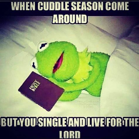 Hermit The Frog Funny, Mood Calendar, Funny Kermit Memes, Cuddle Season, Sapo Kermit, Church Memes, Church Humor, Kermit Funny, Christian Jokes