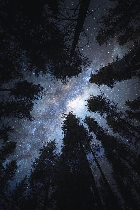 Galaxia Wallpaper, Night Sky Photography, Night Sky Wallpaper, Night Forest, The Night Sky, Night Aesthetic, Landscape Wallpaper, Sky Aesthetic, Dark Wallpaper