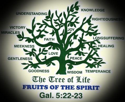 The tree of life faith family, the trees of righteousness are out to win souls for the kingdome of God. Description from thetreeoflifefaithcominc.ws. I searched for this on bing.com/images Fruit Of The Spirit Tattoo, Life Meaning Quotes, Tree Of Life Quotes, Tree Of Life Meaning, Spirit Tree, Faith Healing, Spirit Tattoo, Tree Quotes, Fruits Of The Spirit