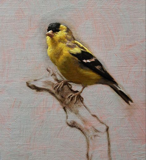 Bird Painting Gouache, Small Bird Painting, Paintings Of Birds, Bird Oil Painting, Bird Painting Acrylic, Baroque Painting, Moody Art, Instagram Portrait, Wall Art Ideas