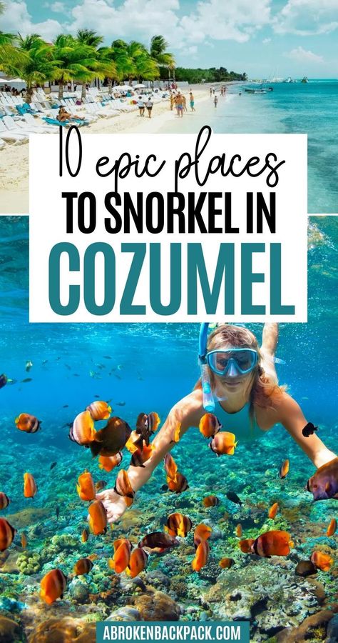 Best Places To Snorkel, Cozumel Snorkeling, Things To Do In Cozumel, Cozumel Cruise, Mexico Itinerary, Mexico Beaches, Mexico Travel Guides, Travel Mexico, Beach Destinations