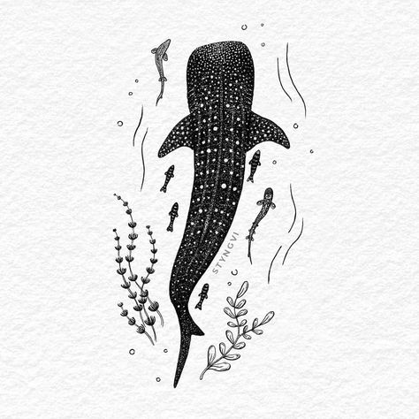 Ocean Semicolon Tattoo, Zoology Tattoo, Shark Leg Tattoo, Whale Shark Tattoo Design, Whale Shark Tattoo, Cool Nature Tattoos, Nature Tattoo Ideas, Shark Whale, Shark Drawing