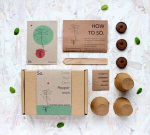 Bubble Tea Making Kit By Sandy Leaf Farm | notonthehighstreet.com Gardening Kit Gift, Rustic Gift Wrapping, Peppermint Plants, Seed Kit, Culinary Herbs, Peppermint Tea, Plant Markers, Organic Seeds, Organic Herbs