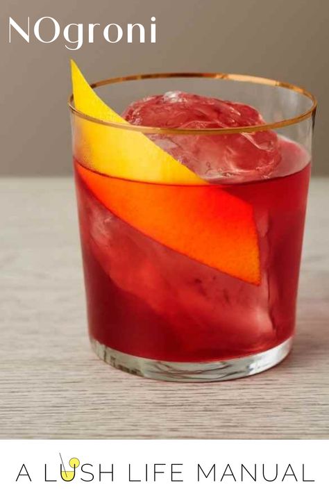 Bitter Cocktail, Healthy Cocktail Recipes, Alcohol Free Cocktails, School Lunch Recipes, Alcohol Free Drinks, Healthy Cocktails, Best Alcohol, Cocktail Bitters, Dry January