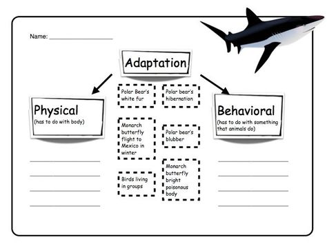 Scientific Method Worksheet Free, Adaptations Science, Zoo Education, Animal Adaptation, Science Lessons Middle School, School Results, Science Kids, Middle School Lesson Plans, Reading Comprehension Lessons