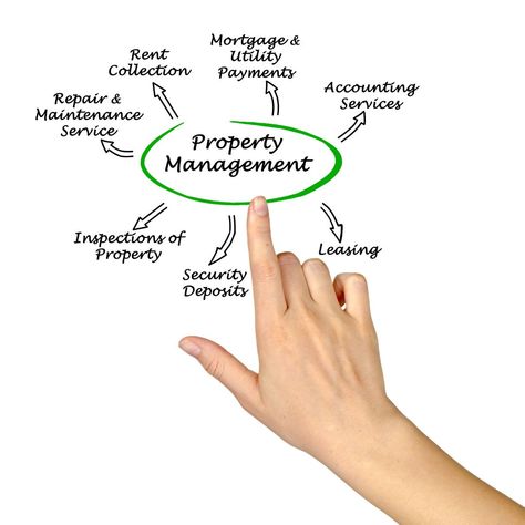 Effectively managing rental properties and finding good tenants requires clear communication, thorough tenant screening, regular inspections, and prompt maintenance. 

Setting clear eXpectations and adhering to lease agreements ensures a harmonious rental environment. Providing excellent customer service and keeping detailed records is also crucial. Stay informed about landlord-tenant laws to ensure compliance. By implementing these tips, landlords can attract reliable tenants and achieve long-term success in the rental market. 

Rental properties are excellent investments. By following these tips, you can build a solid investment property portfolio. Let's talk about how I can help. 

#propertymanagement #landlordtips #tenantselection #rentalproperty #realestateinvesting #tenantmanagement Property Portfolio, Estate Lawyer, Tenant Screening, Cleaning Challenge, Landlord Tenant, Lease Agreement, Clear Communication, Rental Properties, Let's Talk About