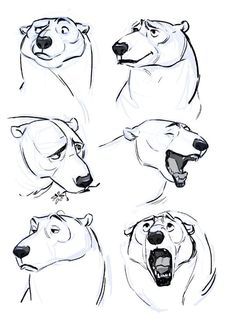 Celine Kim, Sony Animation, Bear Character Design, Expression Sheet, Character Design Tutorial, Character Design Cartoon, Bear Character, Bear Drawing, Animal Study