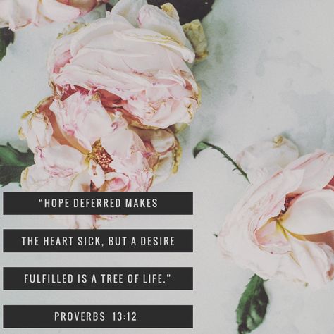 Proverbs 13 12, Hope Deferred Makes The Heart Sick, Hope Deferred, Creator Quotes, Life Proverbs, Proverbs 13, Flowers Wallpapers, Uplifting Words, Verses Quotes