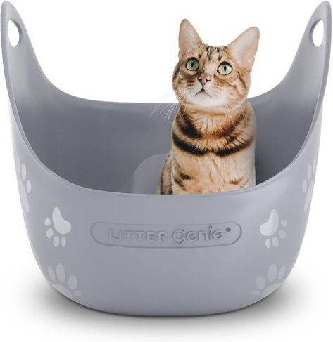 Litter Genie, Enclosed Litter Box, Best Litter Box, Best Cat Litter, Cat Info, Litter Tray, Kitten Rescue, Cat Box, Old Cats