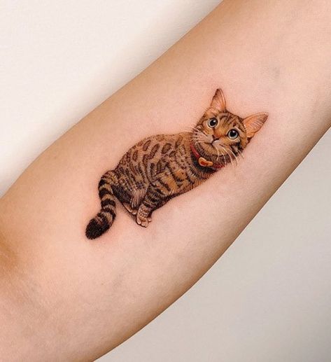 Cat Silhouette Tattoos, Cat Portrait Tattoos, Cat Tattoo Ideas, See Tattoo, Timeless Tattoo, Cat Nose, Cat Tat, Silhouette Tattoos, Cat Tattoos